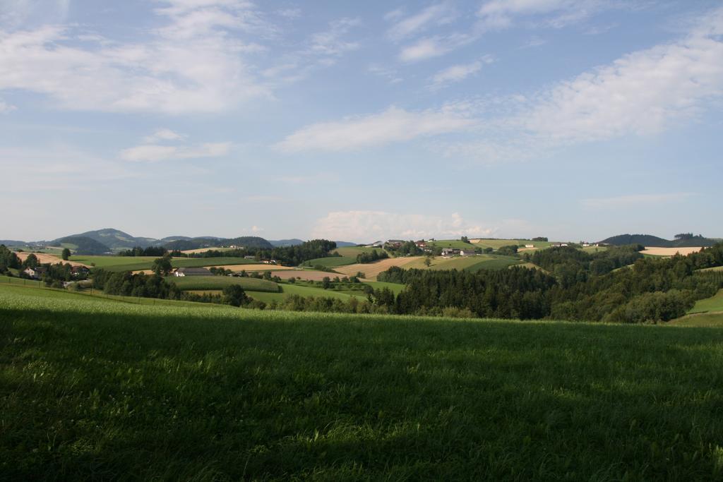 Kirchenwirt Inn Kreuzen  Экстерьер фото